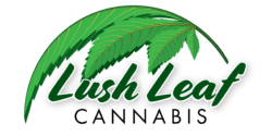 Lush Leaf Cannabis